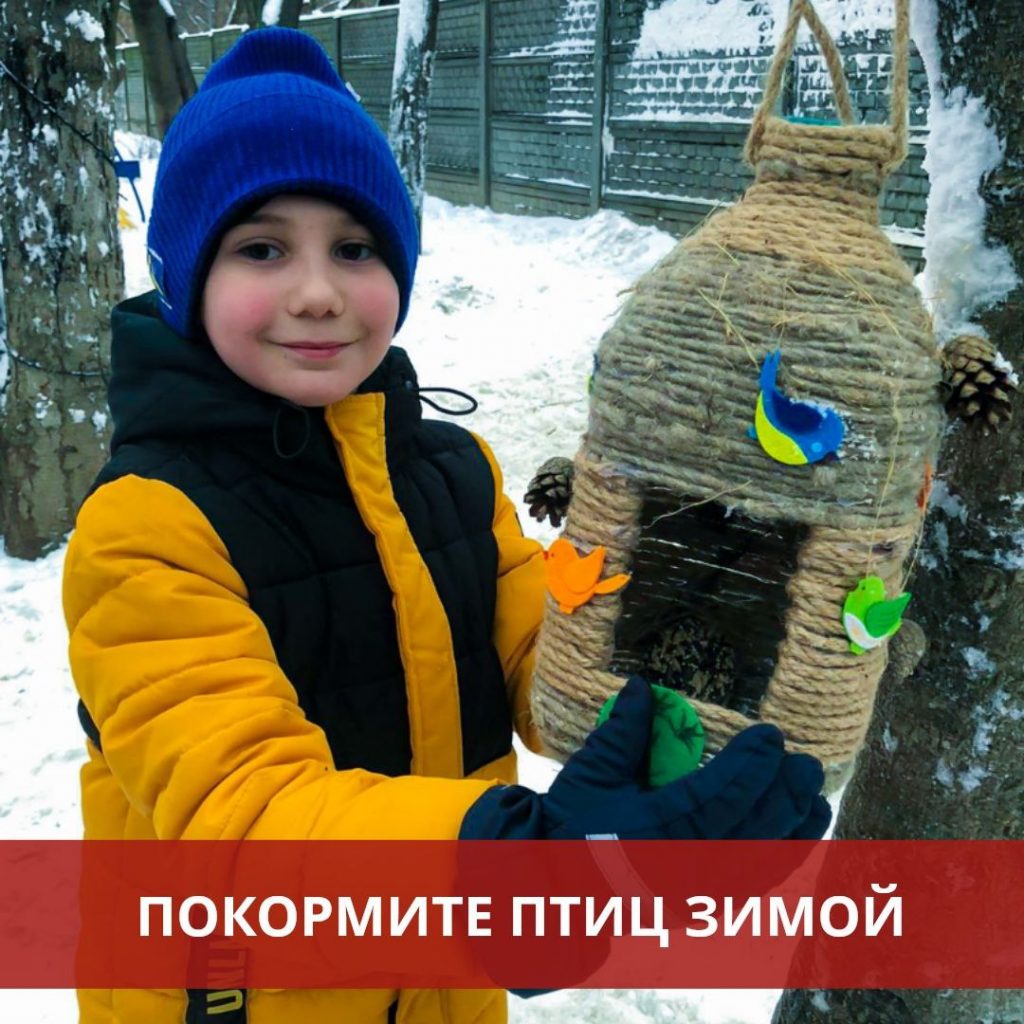 Проект  «Покормите птиц зимой»